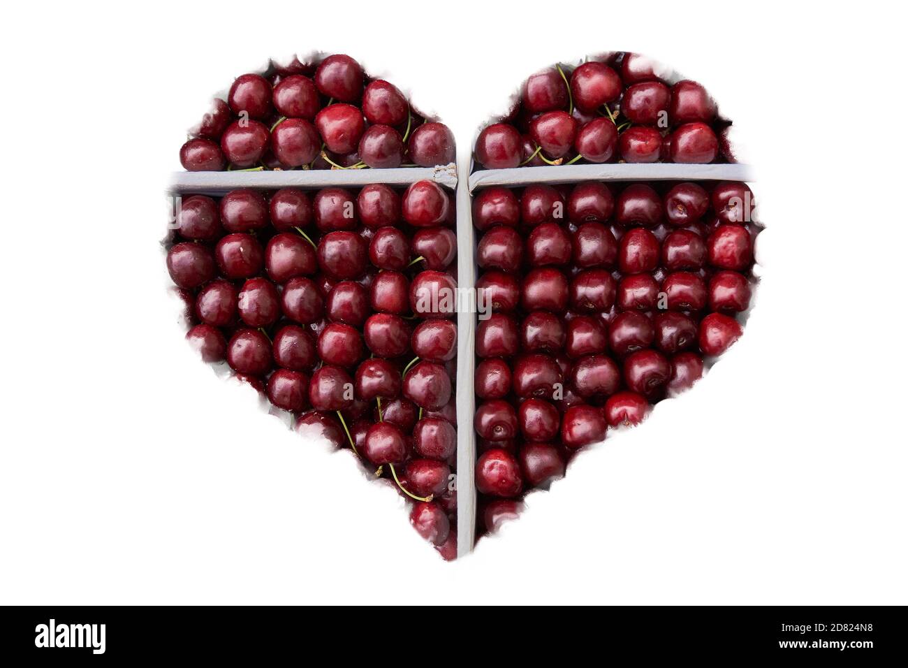 cherry ripe sweet viburnum cherry background. Stock Photo