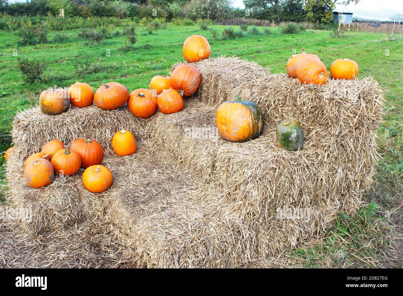 Pumpkins on hay bales hires stock photography and images Alamy