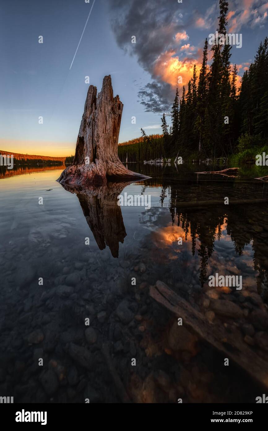 Beautiful Scenery by the lake in Canadian Nature. Stock Photo