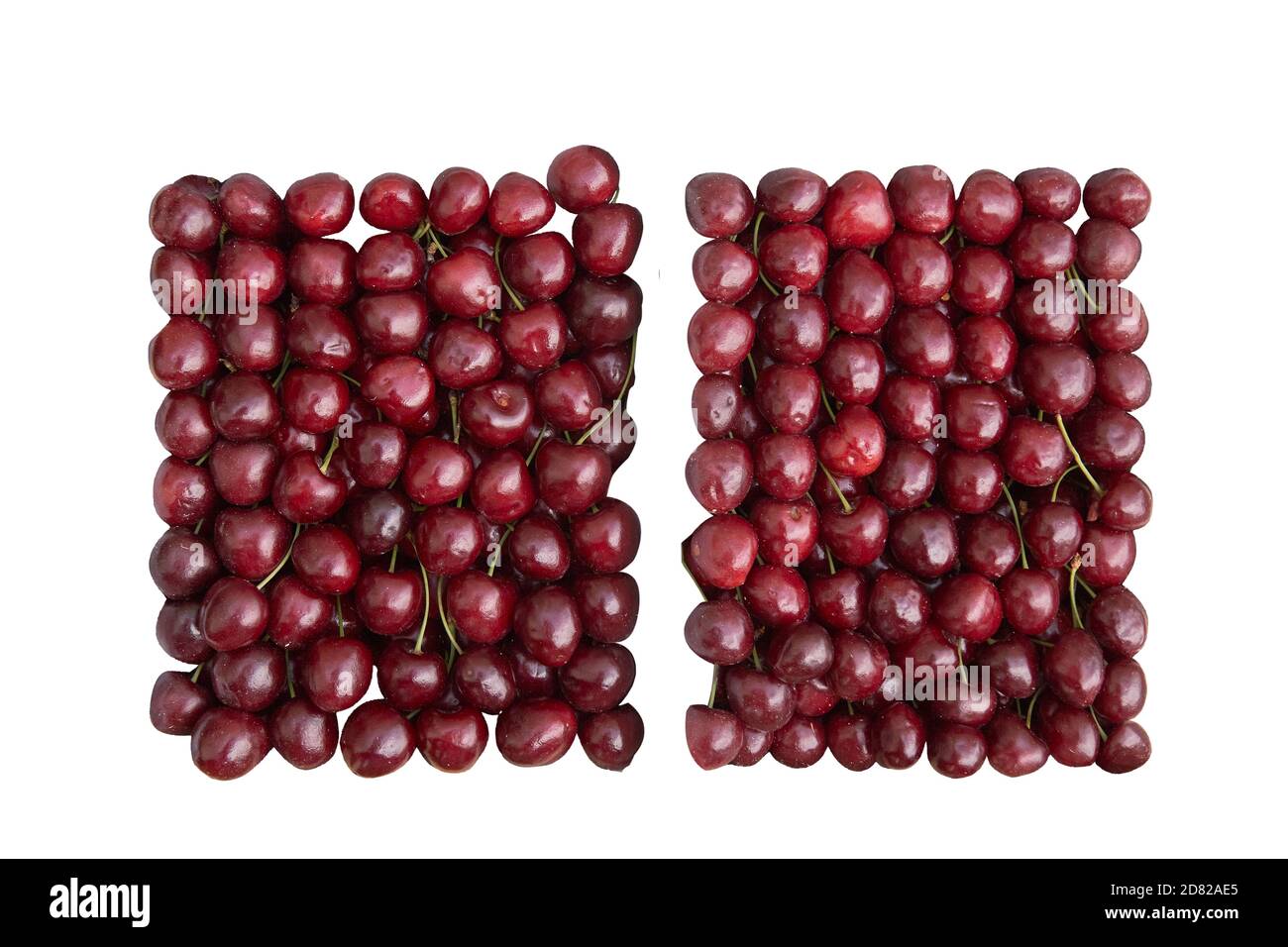 cherry ripe sweet viburnum cherry background. Stock Photo