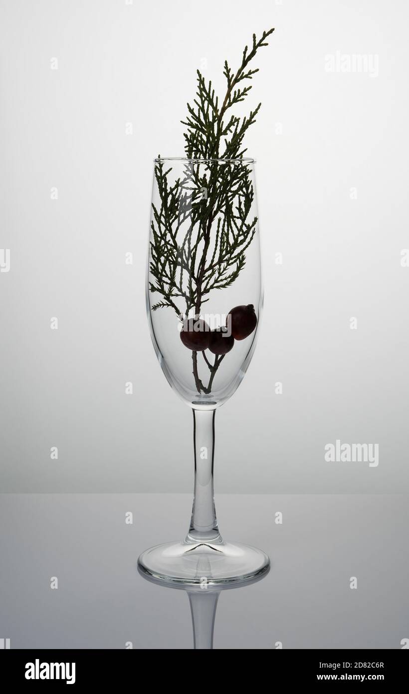Abstract holiday background with a champagne glass with a coniferous branch on a light background. Stock Photo