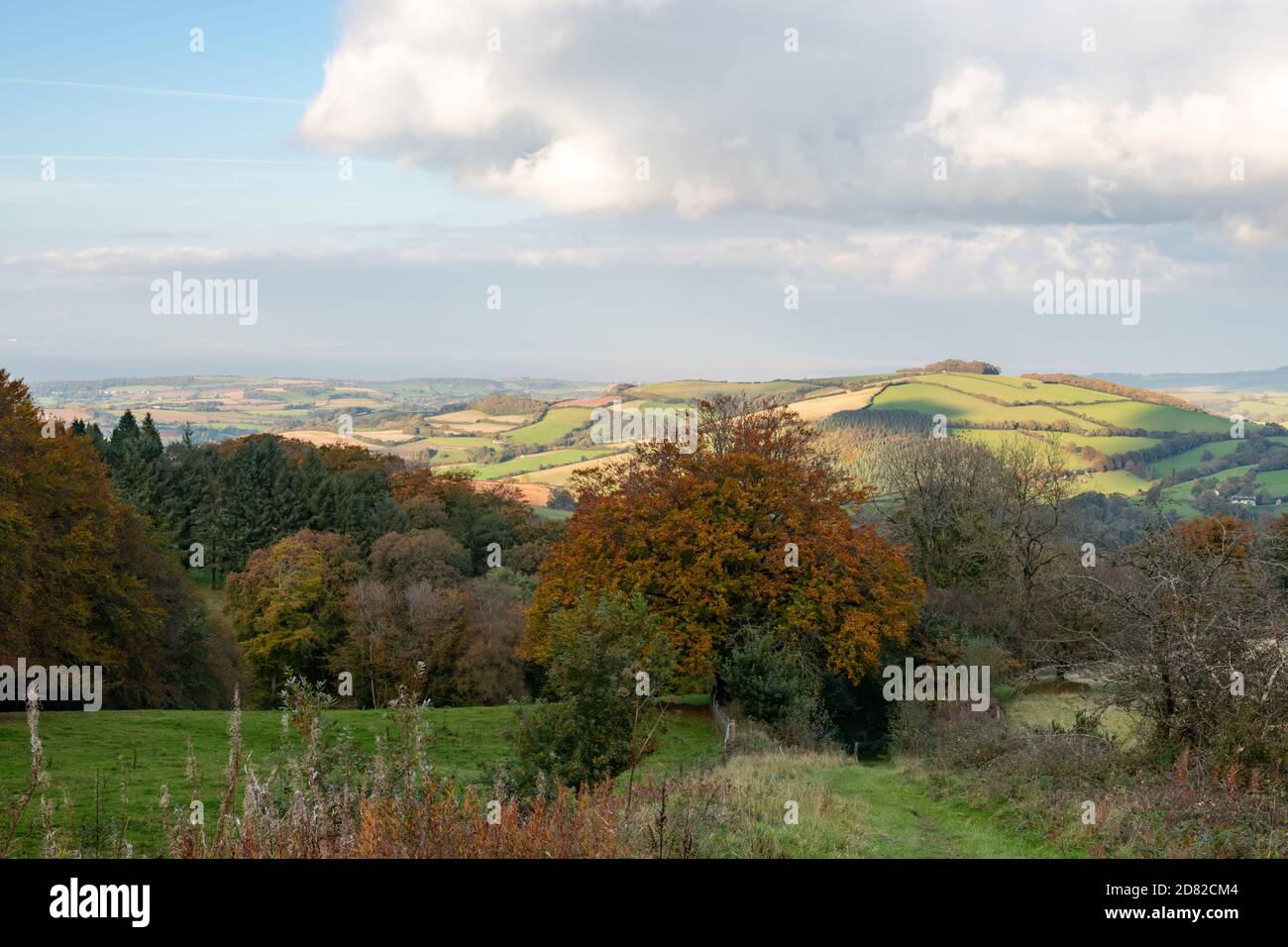 Landscape photo overlooking the Brendon Hills on a sunny autumn day at the top of The Incline in Somerset Stock Photo