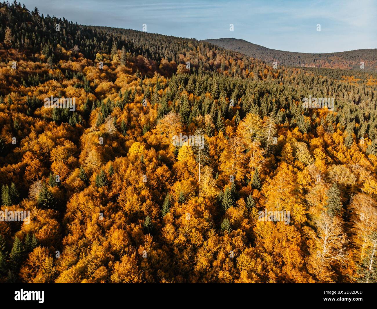 Fall forest landscape view from above. Colorful nature background. Autumn forest aerial drone view.Idyllic fall scenery from a birds eye view.Trees Stock Photo