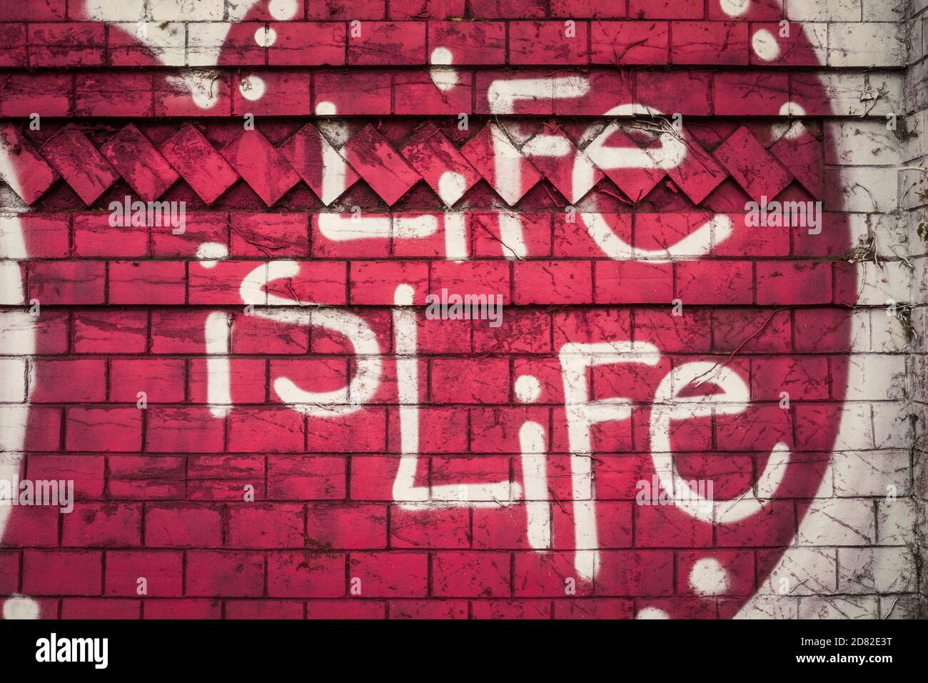 graffiti on a historic urban wall Stock Photo Alamy