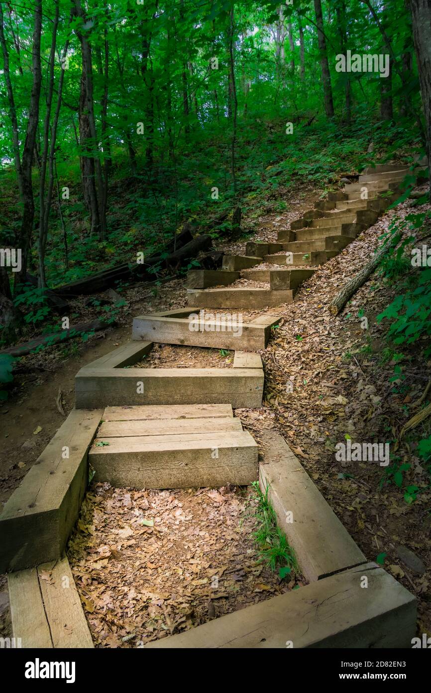 The Gut Conservation area Apsley Ontario Canada nature trail