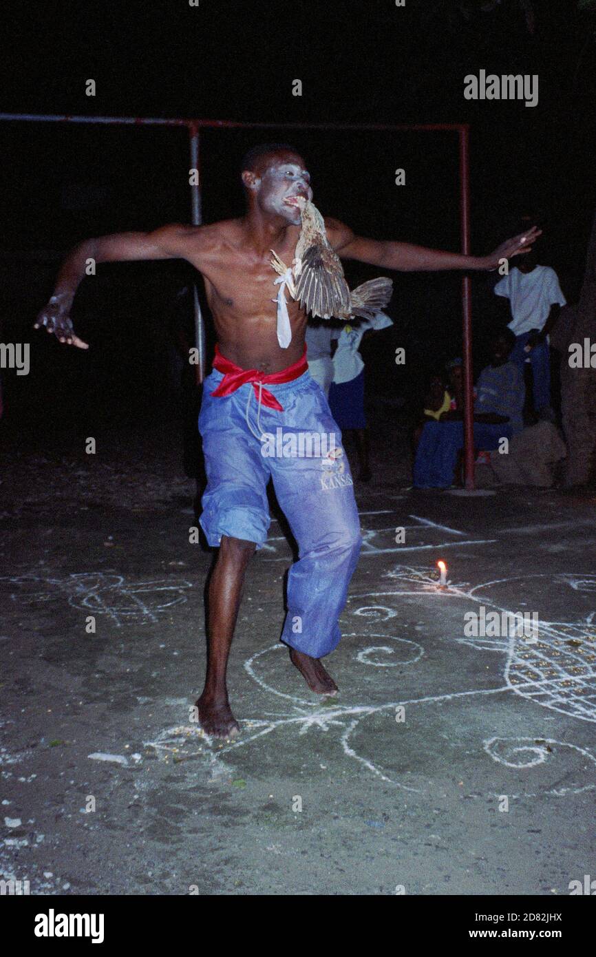 Voodoo ceremony in Haiti : voodoo priest dancing with a sacrificial ...