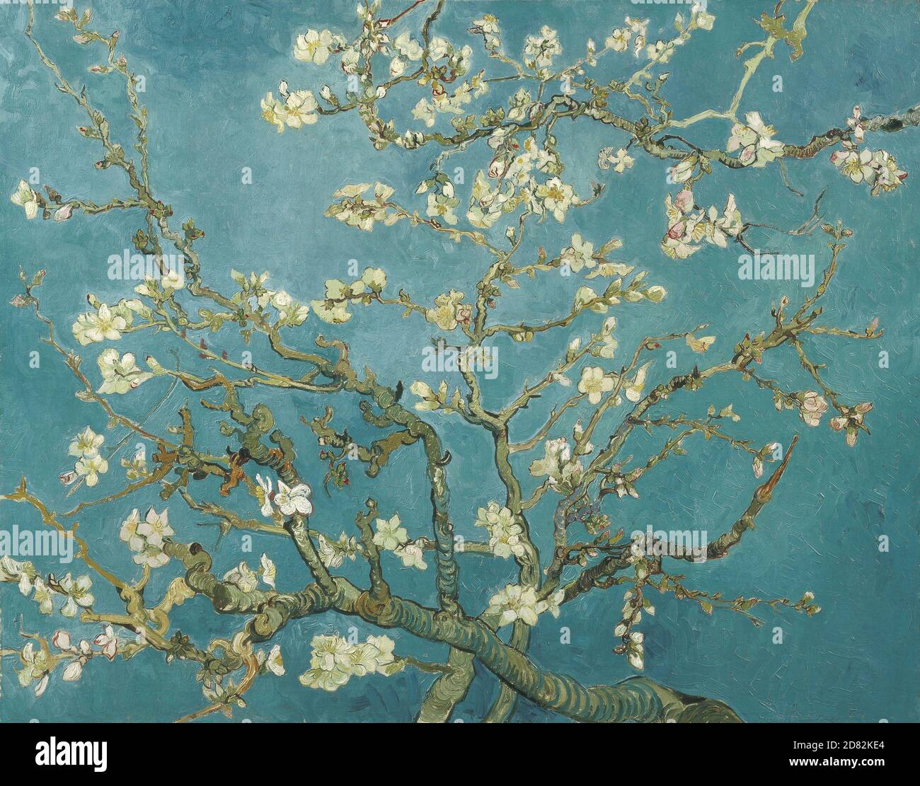 Title: Almond Blossom Creator: Vincent van Gogh Date: 1890 Medium: Oil on canvas Dimensions: 73.3 x 92.4 cm Location: Van Gogh Museum, Amsterdam Stock Photo