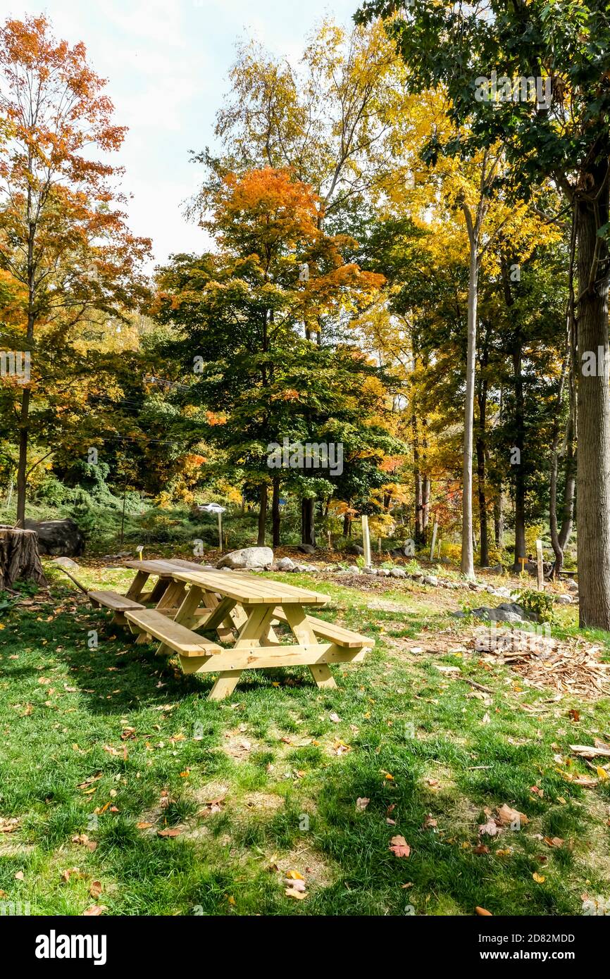 Picnic tables in the park during fall Stock Photo Alamy