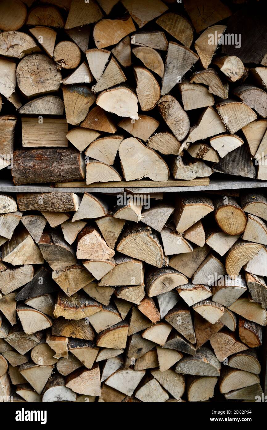 Log store in Garden Stock Photo