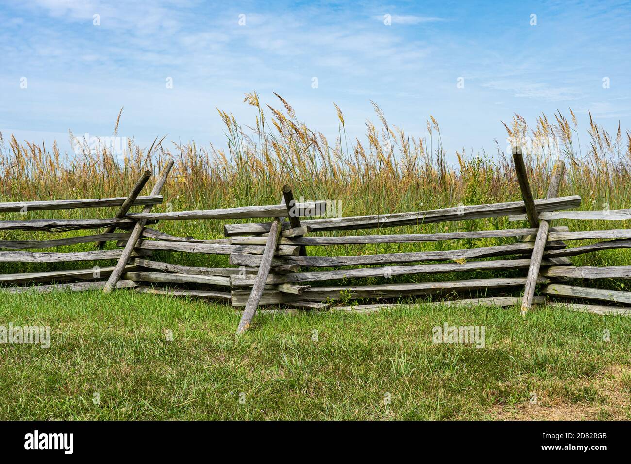 weathered grey zig zag split rail fencing also known as worm fence with green grass in front and tall amber grain behind Stock Photo