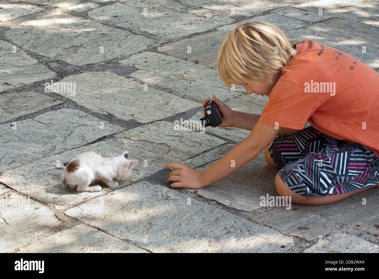 Meteora, Greece - July 27, 2009: a child, at once, try to feed and try to shoot a kitten with a compact camera in the courtyard of Great Meteoron Mona Stock Photo