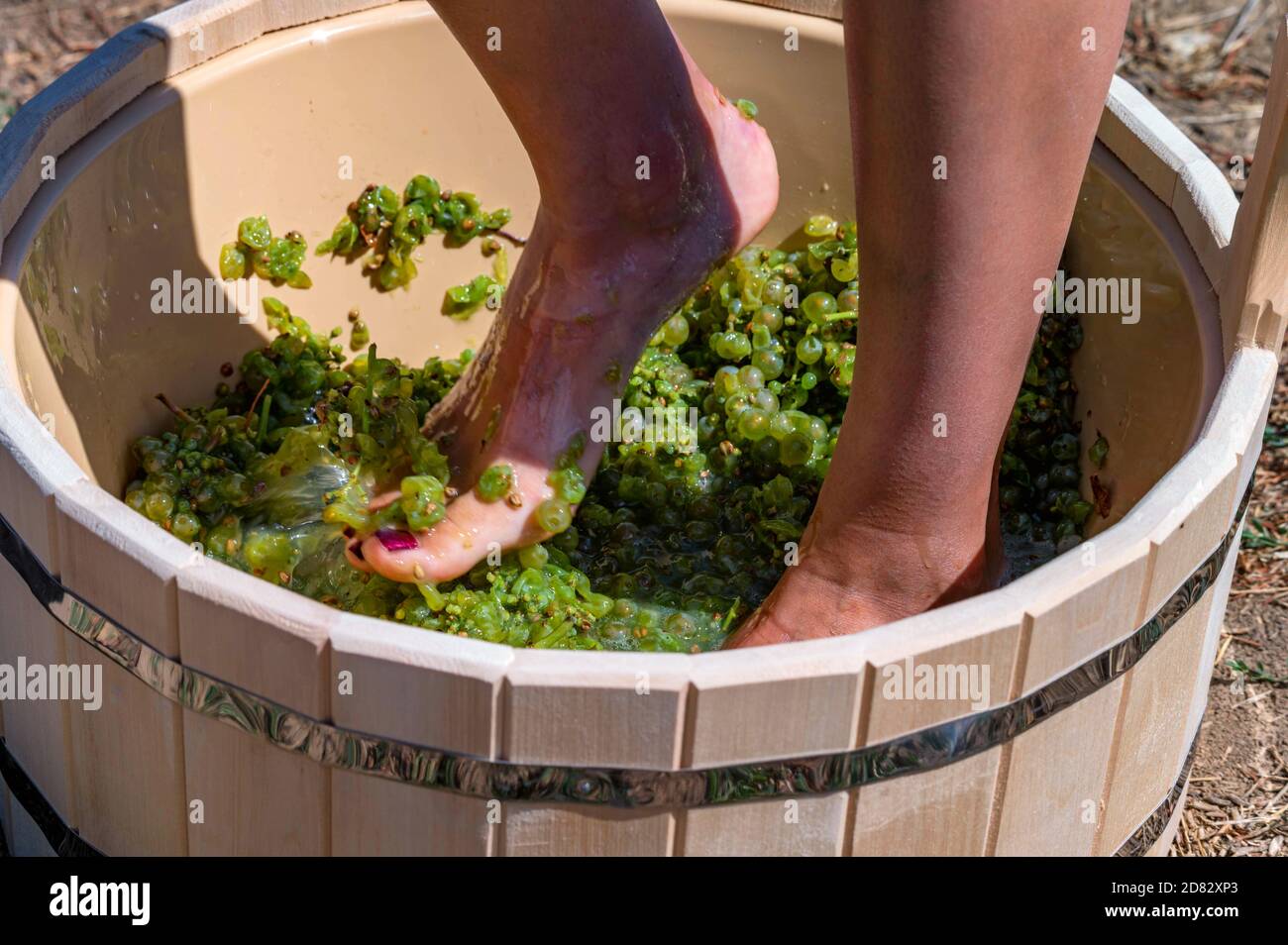 Barefoot Crush