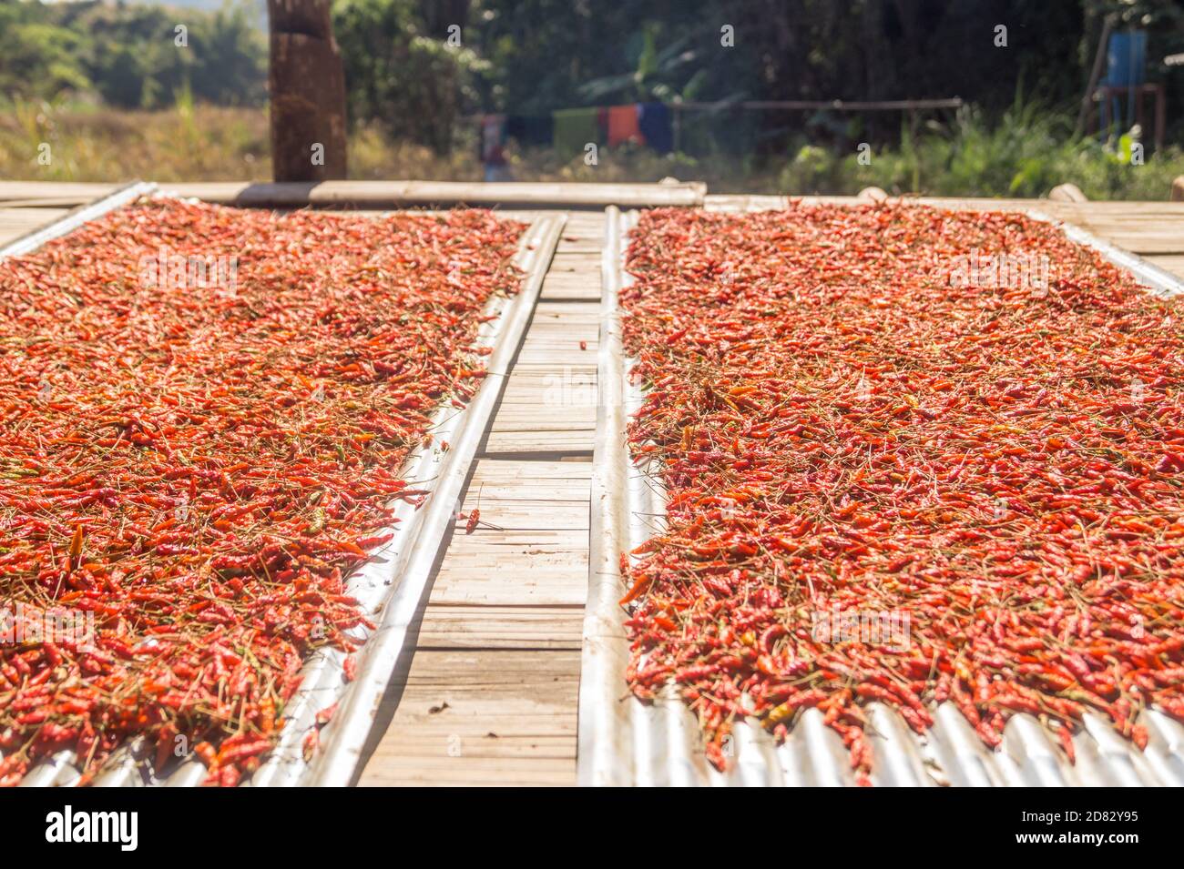 Chili food truck hires stock photography and images Alamy