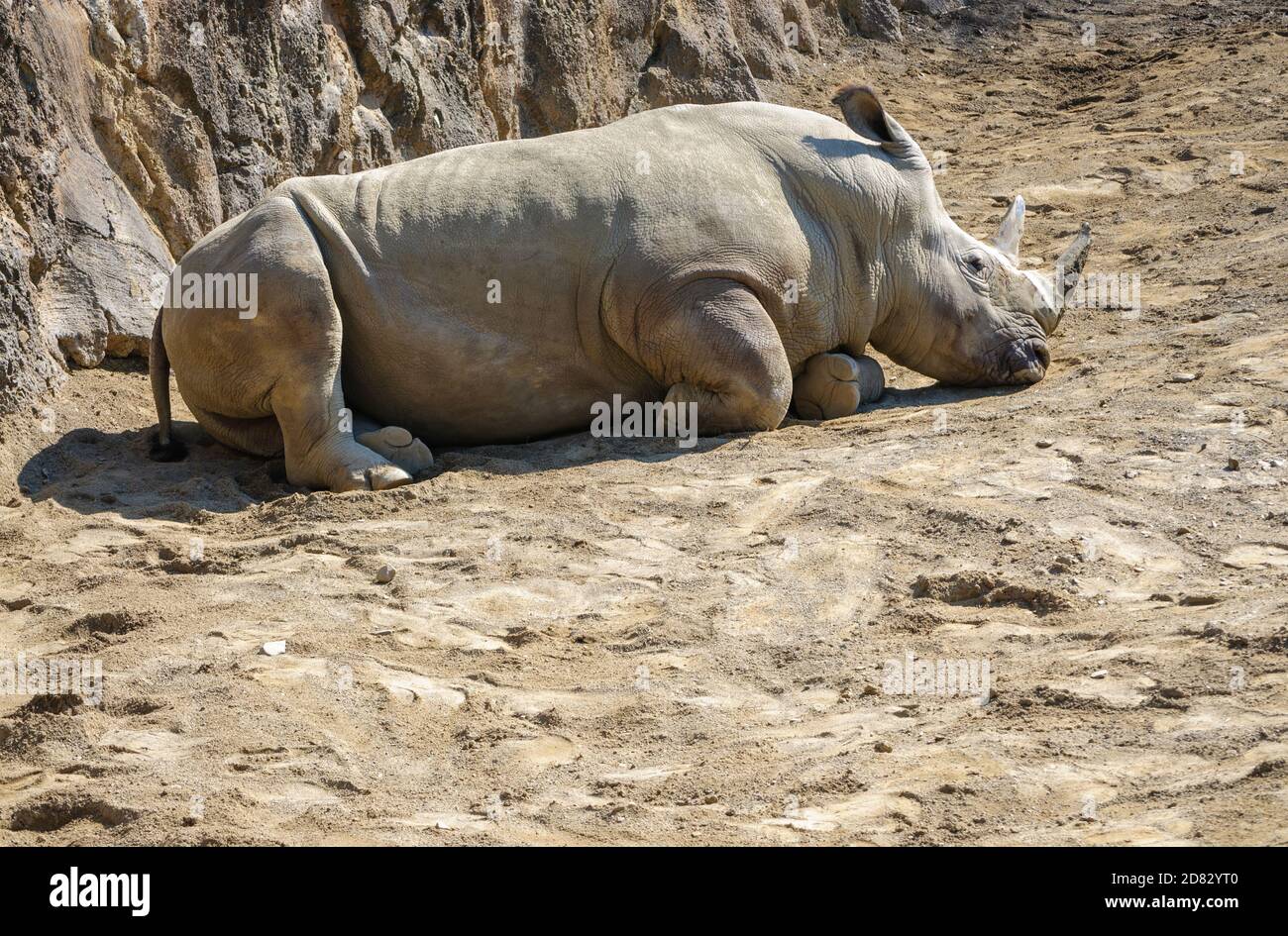 Erie zoological park hires stock photography and images Alamy
