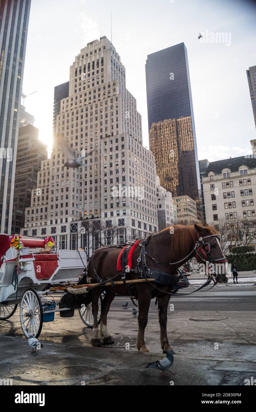 City snow horse carriage hi-res stock photography and images - Alamy