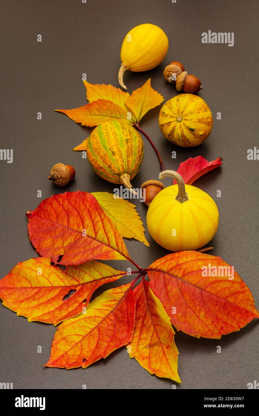 Autumn background with decorative pumpkins, fall leaves and acorns ...