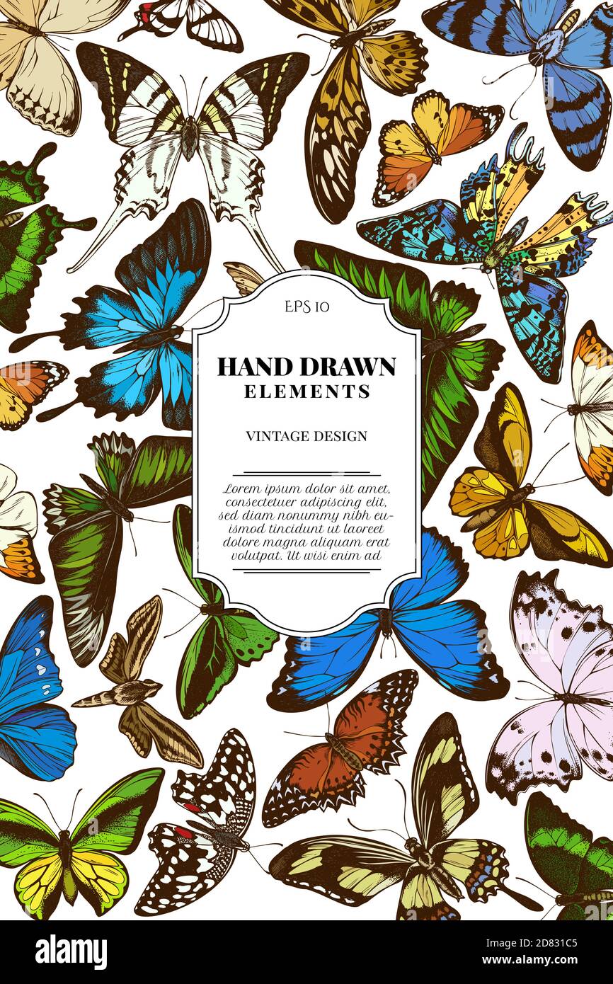 Card design with colored great orange-tip, emerald swallowtail, jungle queens, plain tiger, rajah brooke's birdwing, papilio torquatus, swallowtail Stock Vector