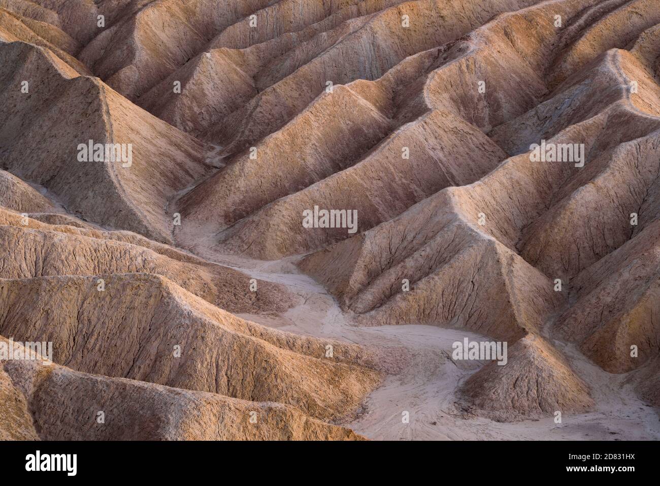 Zabriskie Point badlands in Death Valley National Park, California. Stock Photo