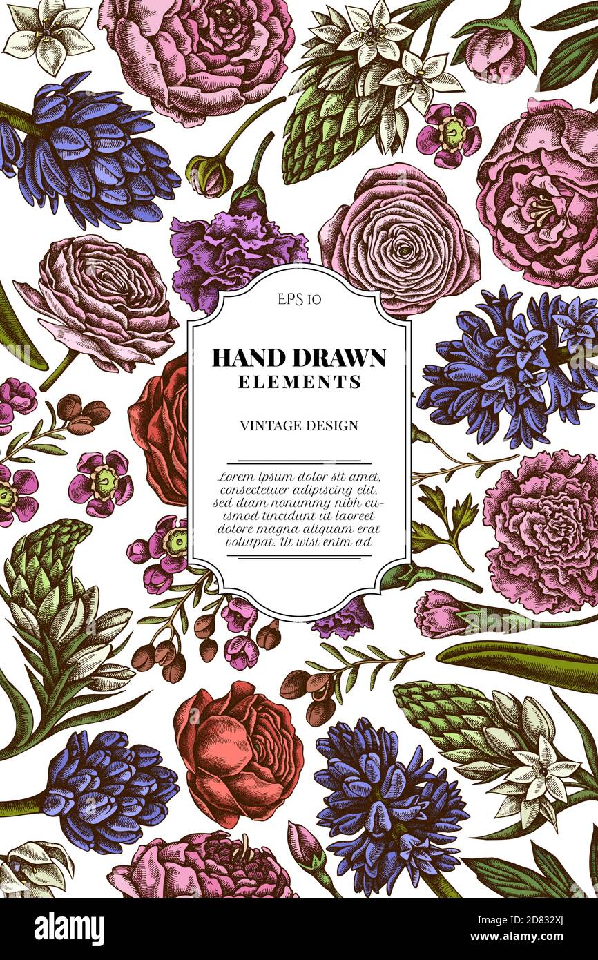 Card design with colored peony, carnation, ranunculus, wax flower, ornithogalum, hyacinth Stock Vector