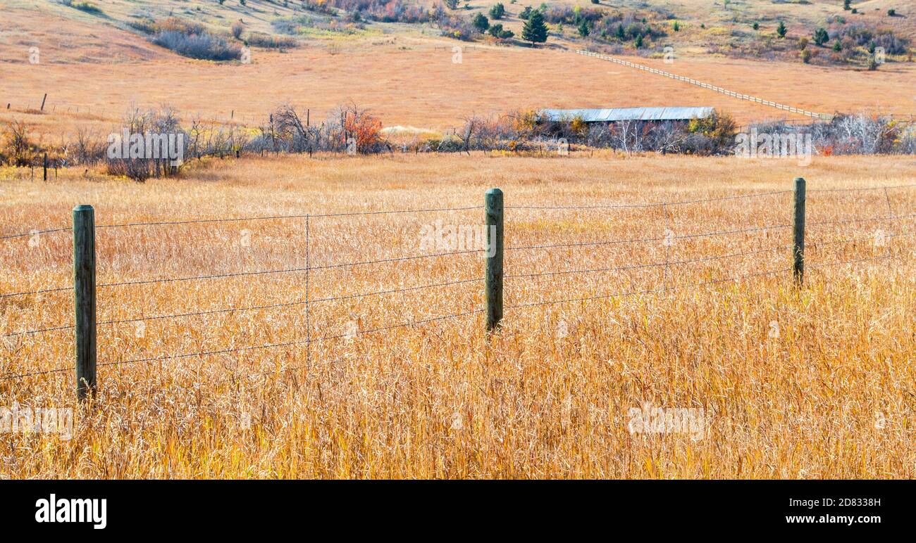 old barbed wire fence running through a field of golden wild grass with an abandoned barn in the distance surrounded by autumn foliage Stock Photo