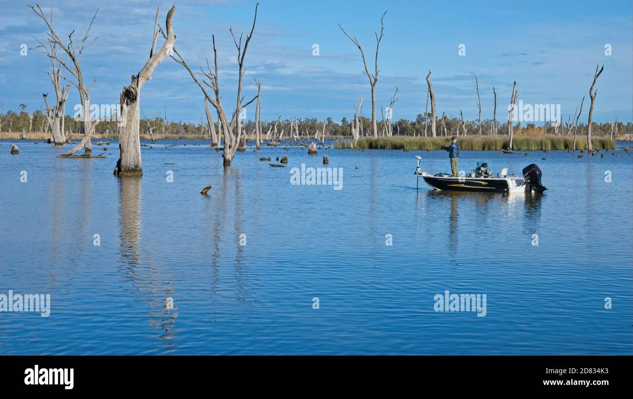 Fisherman casting from boat into Lake Mulwala Stock Photo Alamy