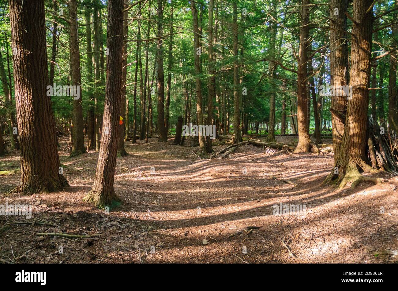Jamestown Audubon Center and Sanctuary Stock Photo Alamy