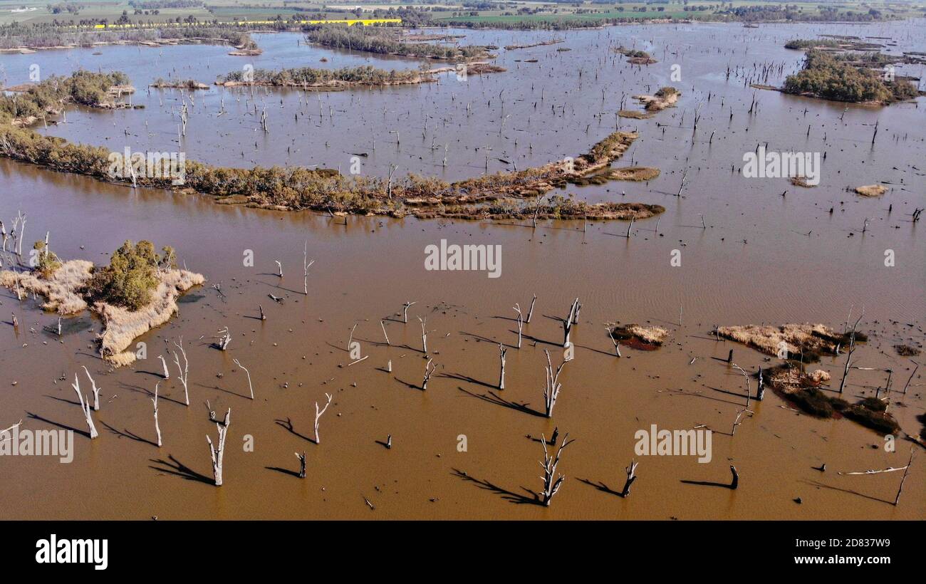 Dead trees in small lake hi-res stock photography and images - Alamy