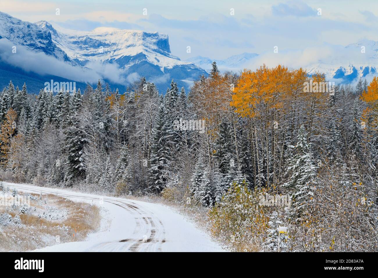 A landscape image of the first snowfall of the season on the rocky mountains in Jasper National Park in Alberta Canada. Stock Photo