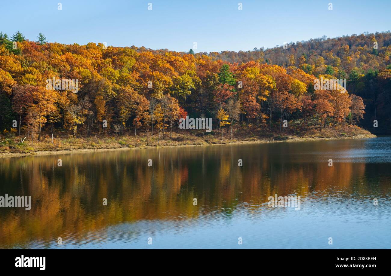 Tionesta Lake and Dam's fall leaves Stock Photo Alamy