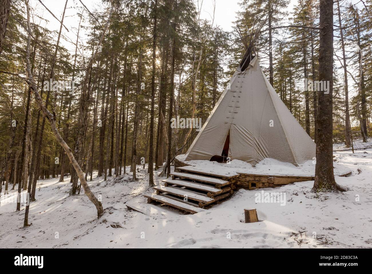 The pristine nature of the Zeya reserve. White chum wigwam stands in the middle Stock Photo