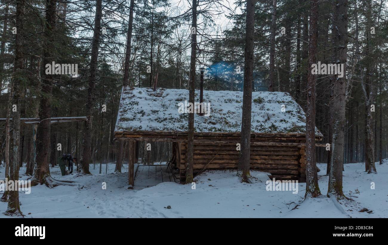 Pristine taiga forest hi-res stock photography and images - Alamy