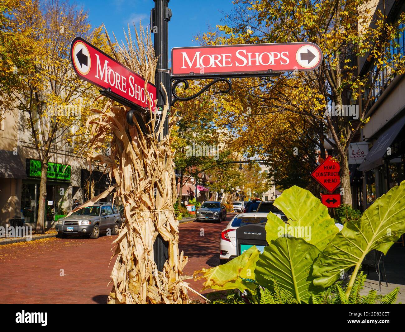 Signs directing to more retail shops. Autumn. Downtown Oak Park, Illinois. Stock Photo