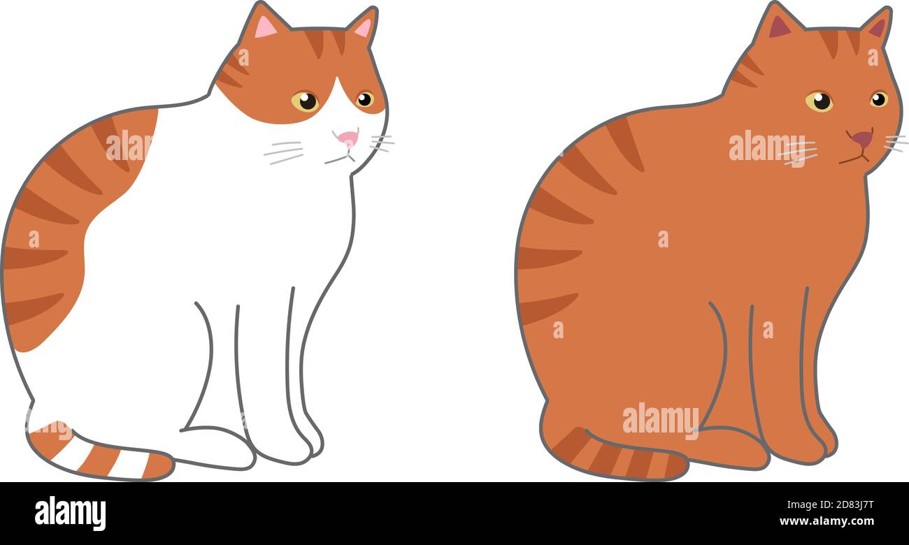 Tabby cat and orange tabby and white cat in a sitting. Vector illustration isolated on white background. Stock Vector