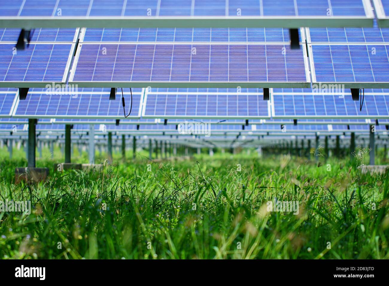 Solar panel, alternative electricity source, concept of sustainable