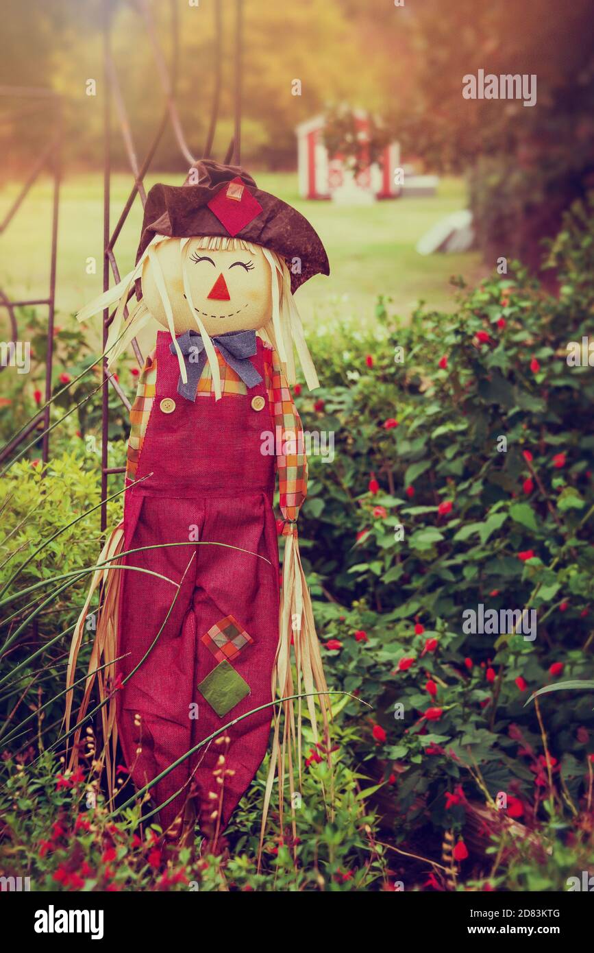 Cute scarecrow in the autumn garden. Halloween October harvest