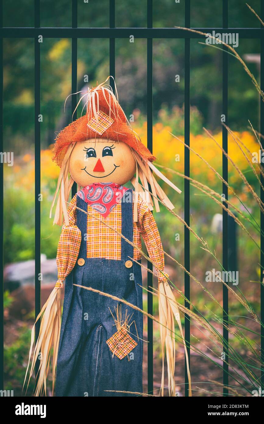 Cute Scarecrow In The Autumn Garden Halloween October Harvest Cute Scarecrow In The Autumn Garden Halloween October Harvest Decoration Concept 2D83KTM