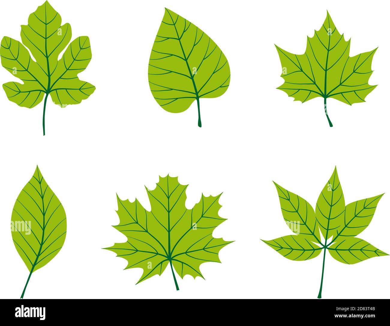 Green fall leaves. Ideal for poster, card, label, banner design. Vector illustration. Stock Vector