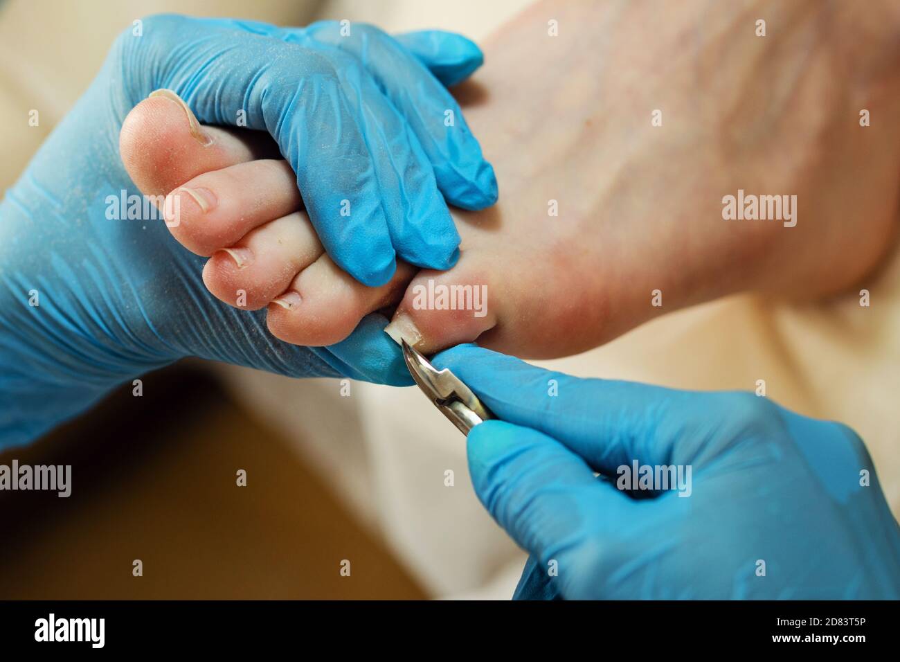 Pedicure master corrects the length of the nail using nippers. Spa