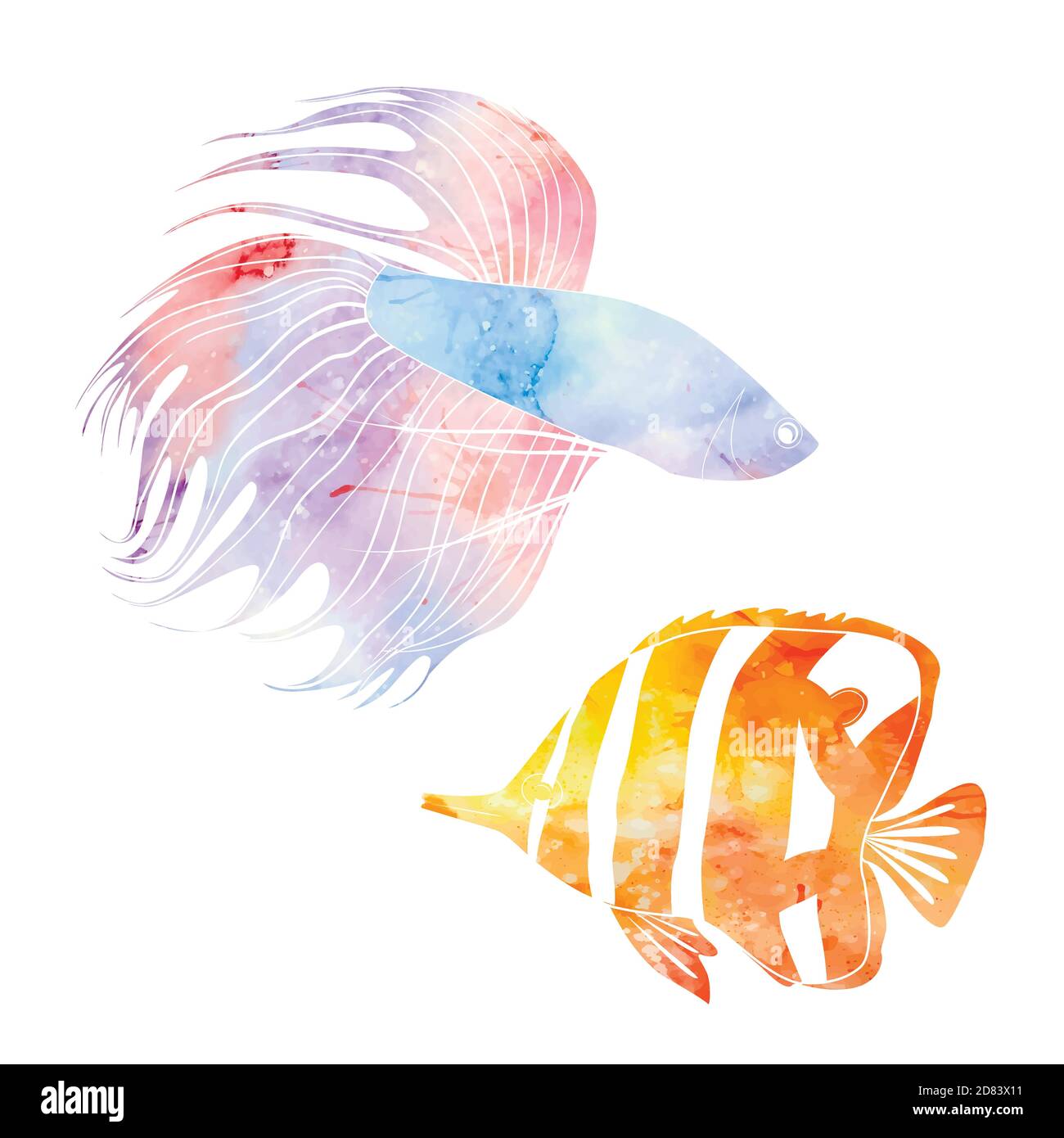 tropical fish watercolor