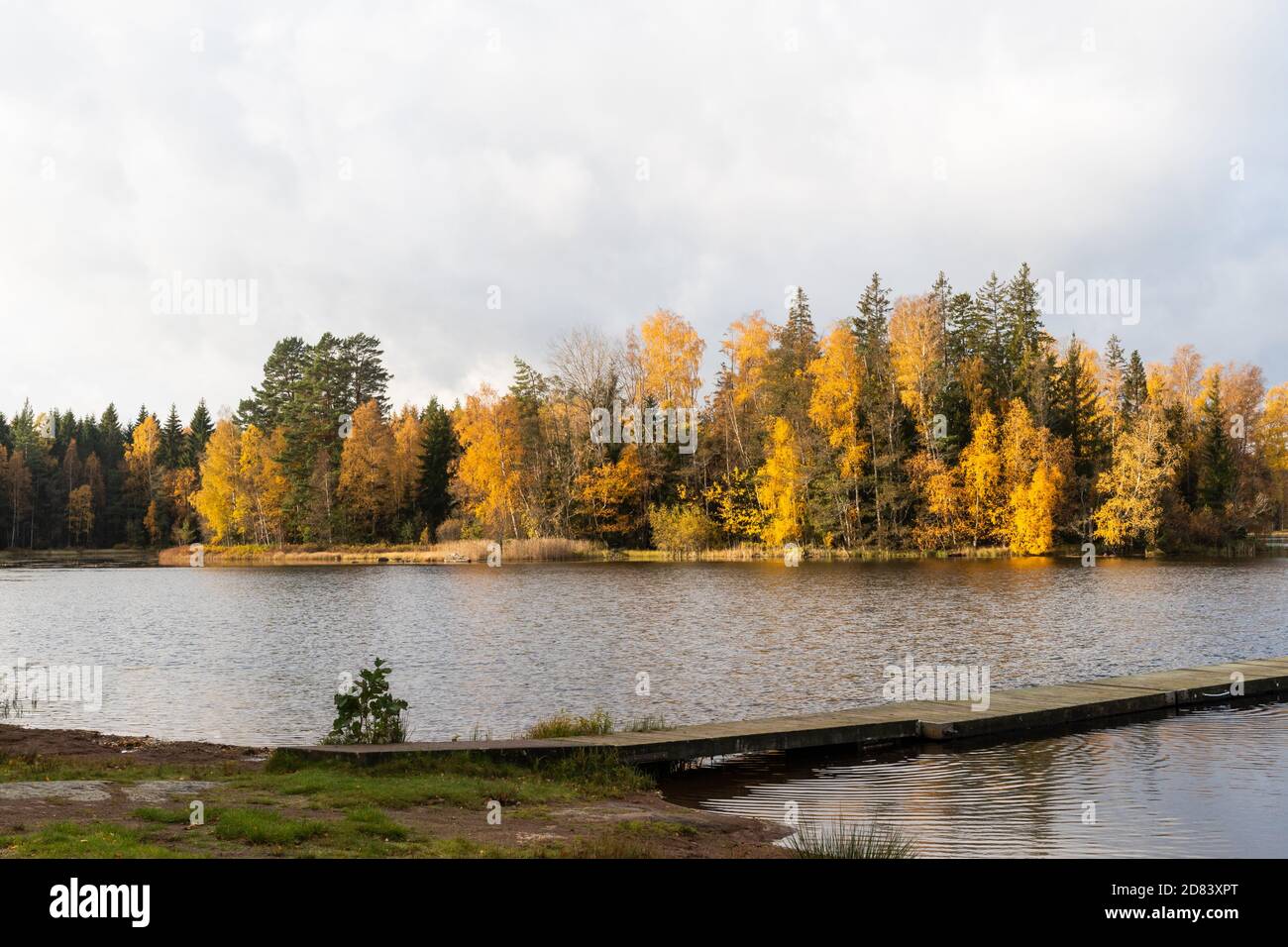 Colorful autumnal scene by a lake in the swedish province Smaland Stock Photo