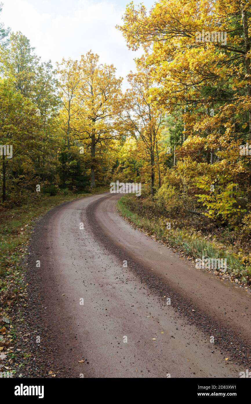 Winding gravel road in fall season colors in te province Smaland in Sweden Stock Photo