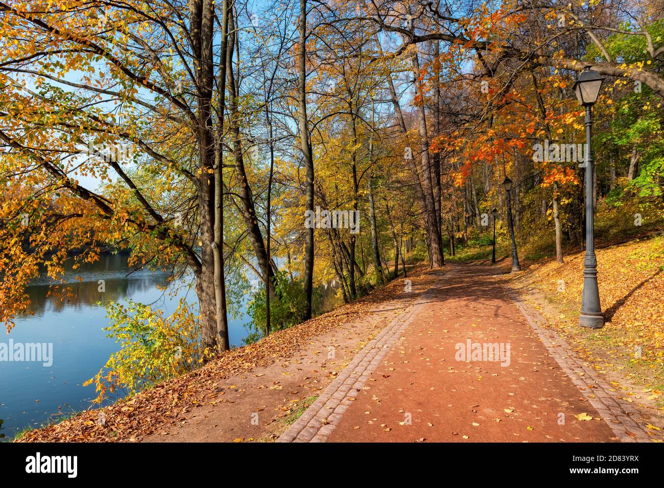 Autumn alley in a park with colorful leaves Stock Photo