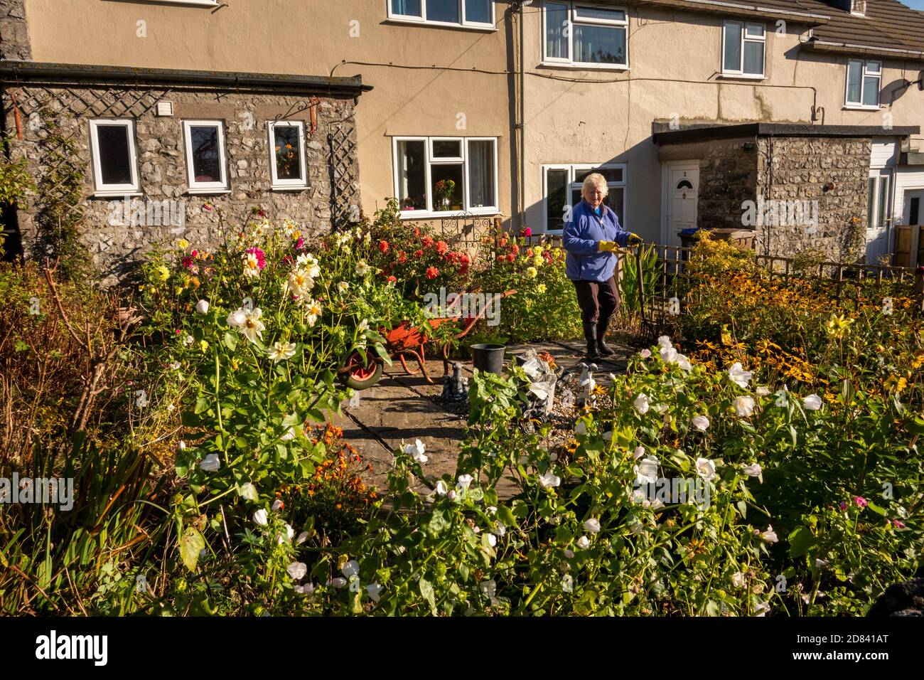 UK, England, Staffordshire, Moorlands, Grindon, Church Avenue, woman tending garden of former local authority house Stock Photo