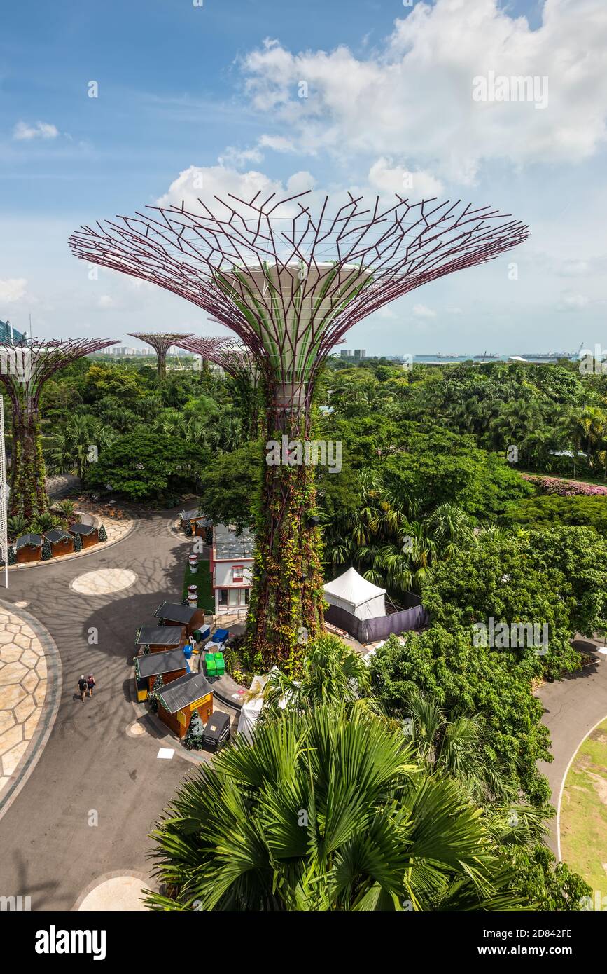 Singapore - December 4, 2019: View on the Supertree Grove at Gardens by the Bay in Singapore near Marina Bay Sands hotel. Stock Photo