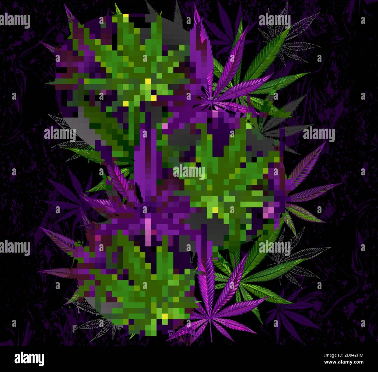 Composition of realistic, purple and green hemp leaves on black background. Cannabis. Stock Vector