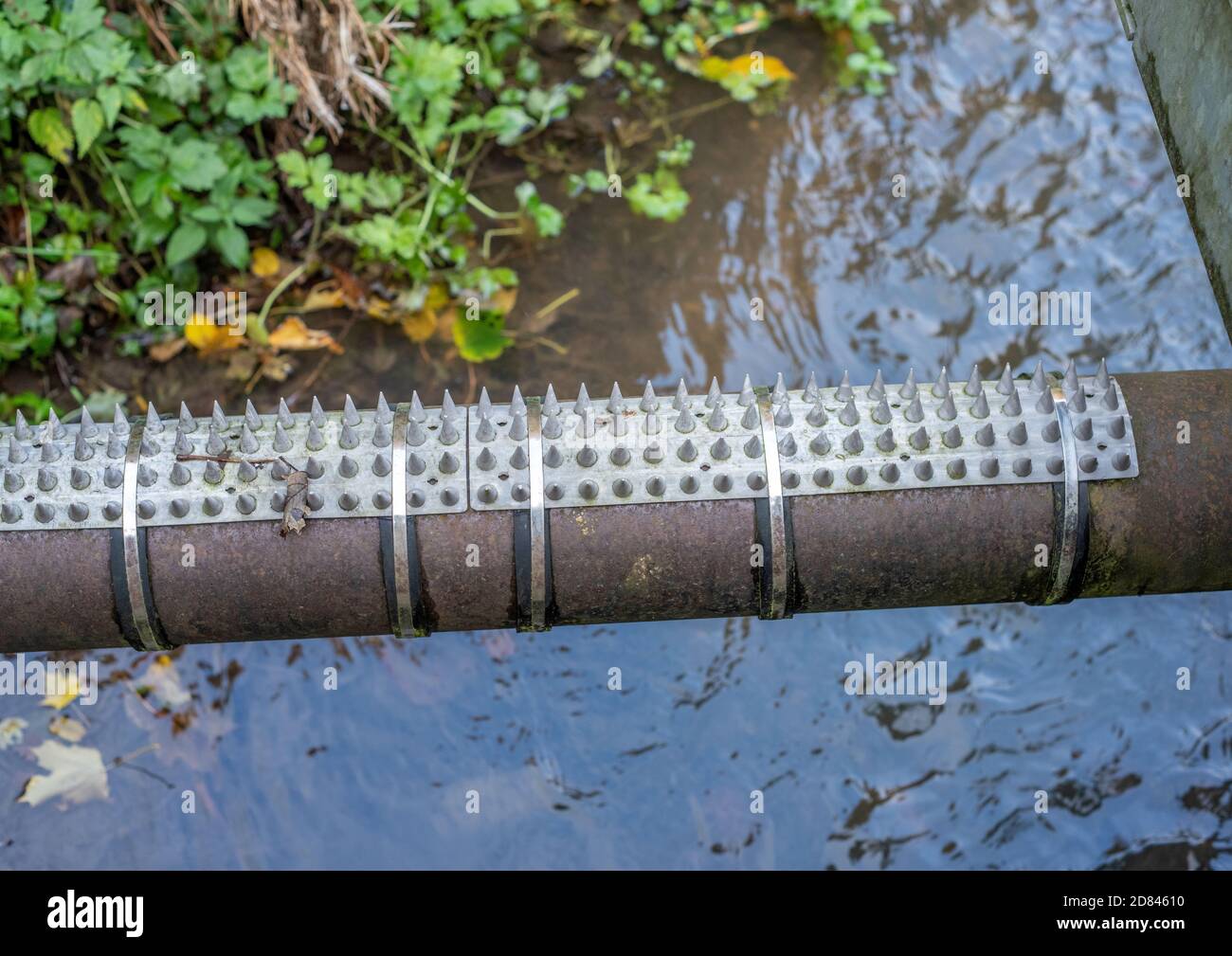 Anti-trespass spikes on a metal pipe over a stream Stock Photo