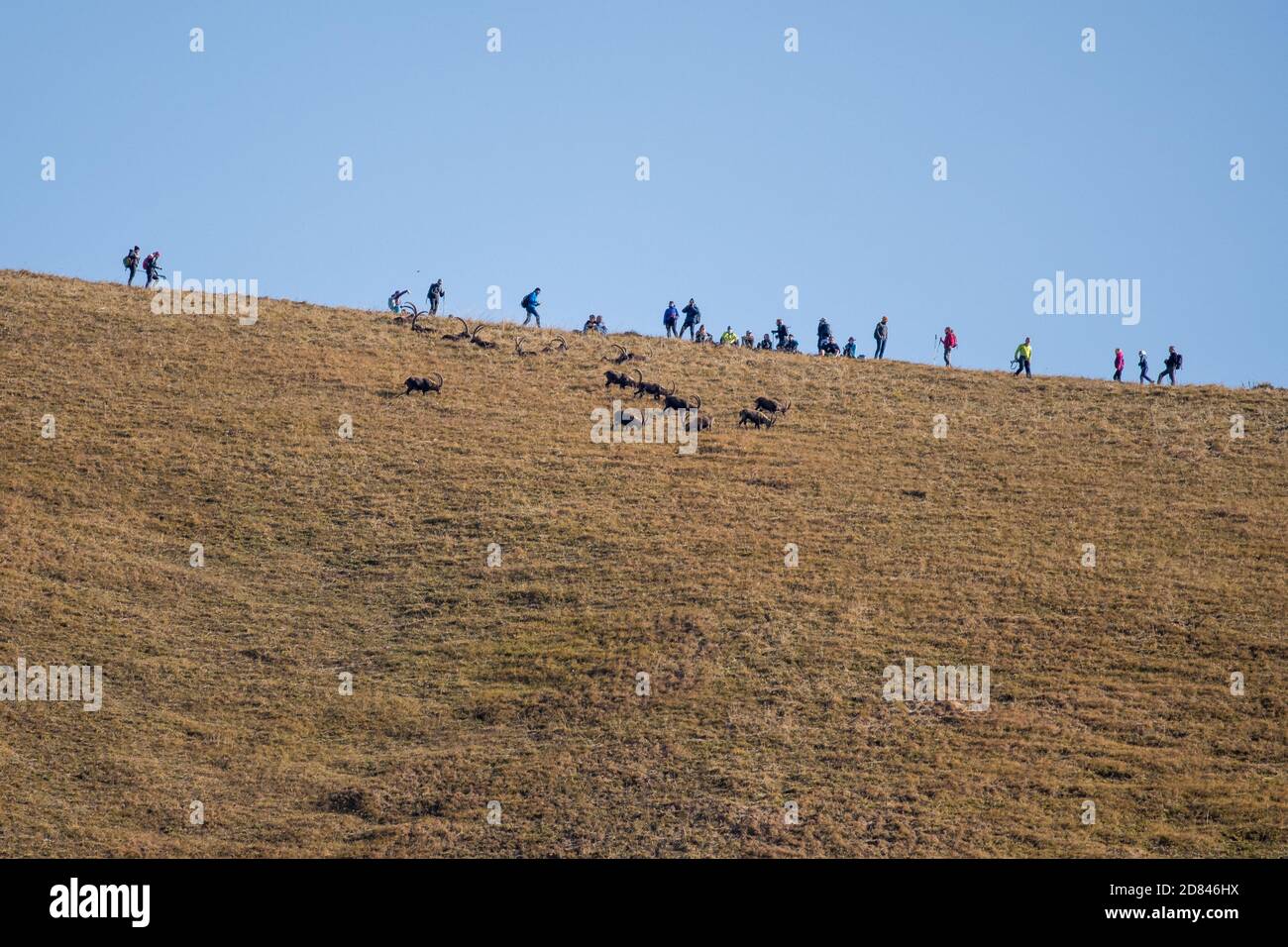 Hikers trekking on hillside hi-res stock photography and images - Alamy