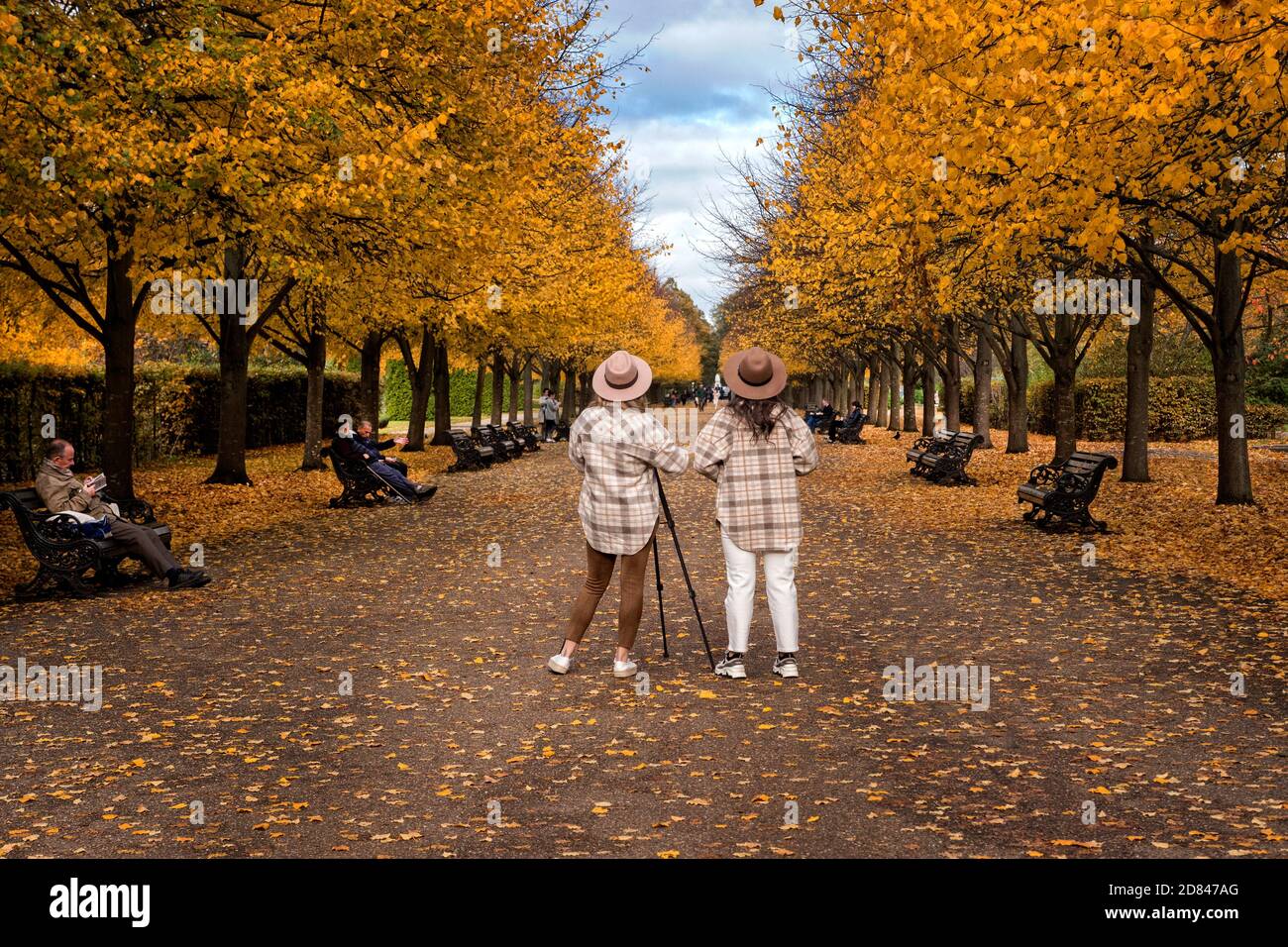 Grand Avenue in Autumn. Regents Park London UK Stock Photo
