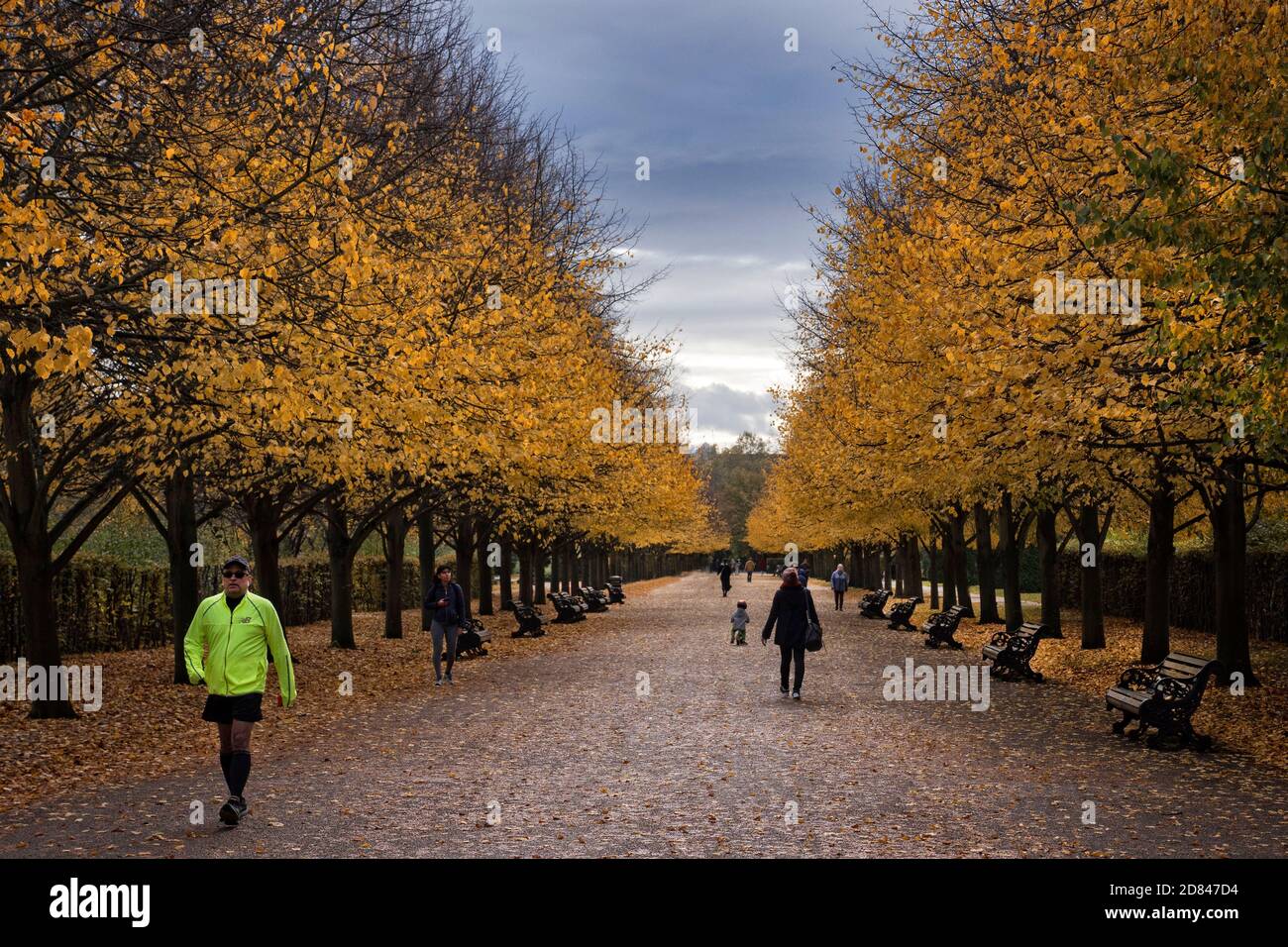 Grand Avenue in Autumn. Regents Park London UK Stock Photo