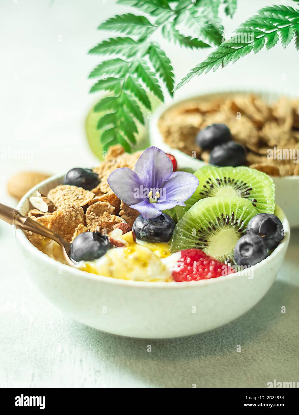 Breakfast with fresh Greek yogurt, strawberries, kiwi and granola on a light concrete background. Healthy food nutrition, snack or breakfast. Stock Photo